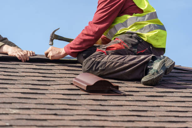 Best Storm Damage Roof Repair  in Vamo, FL