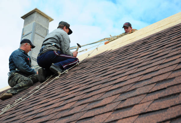 Best Roof Gutter Cleaning  in Vamo, FL