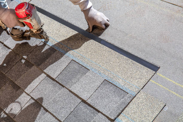 Quick and Trustworthy Emergency Roof Repair Services in Vamo, FL