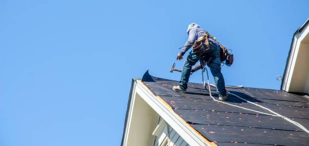 Best Gutter Installation and Roofing  in Vamo, FL